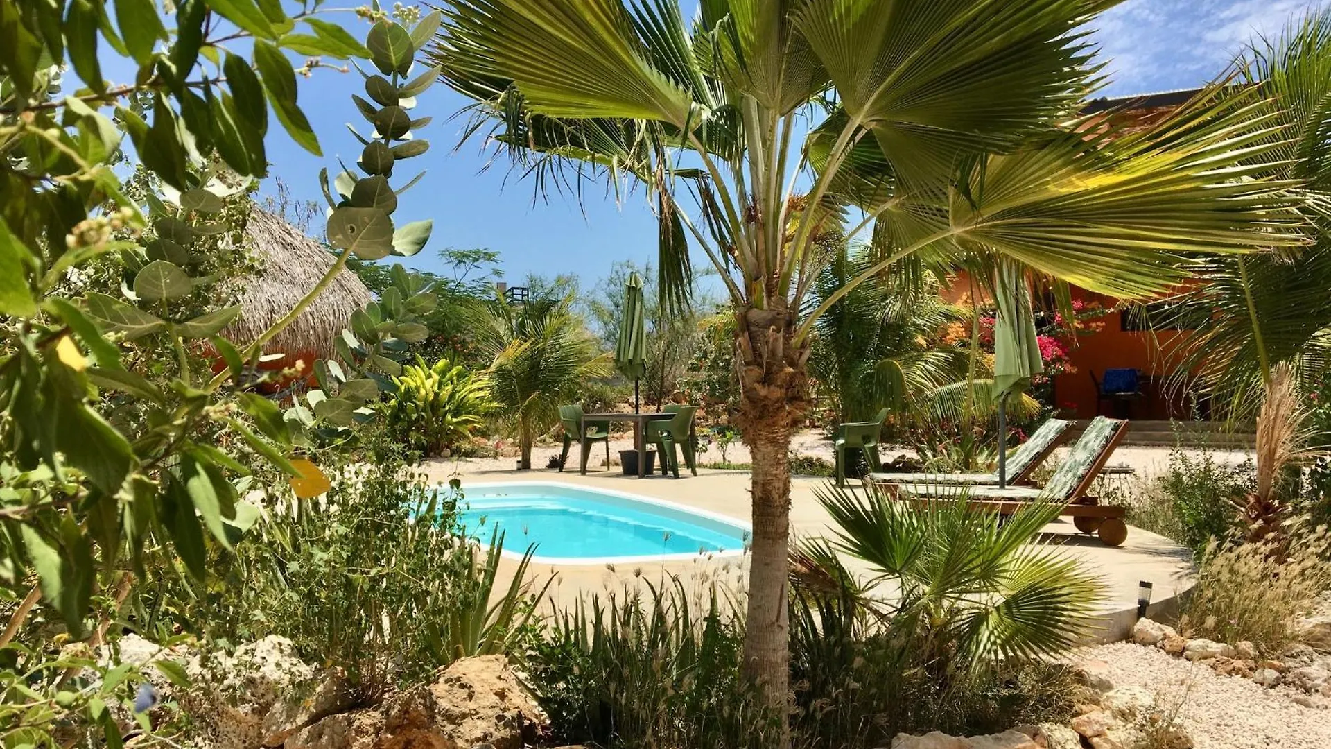 The Octopus Tropical Oasis Dorp Dorp Sint Michiel