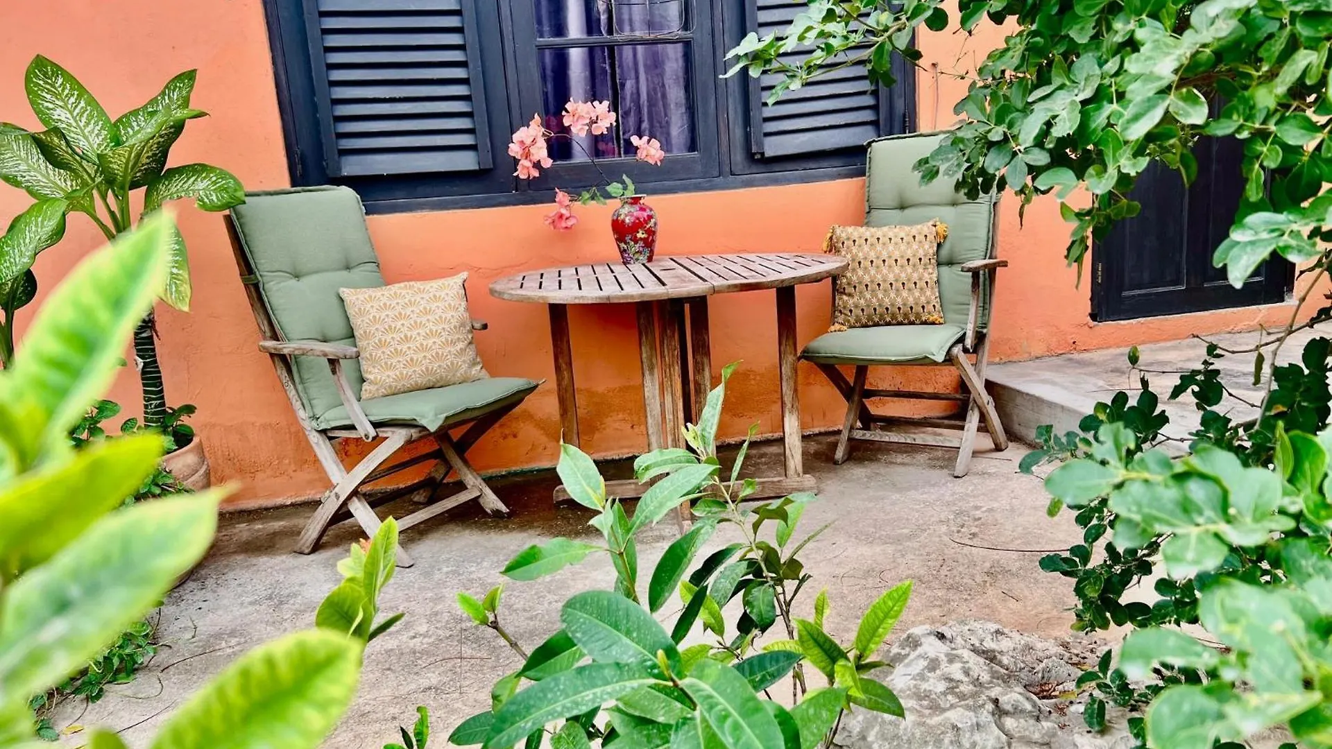 Couette-café The Octopus Tropical Oasis Dorp Dorp Sint Michiel