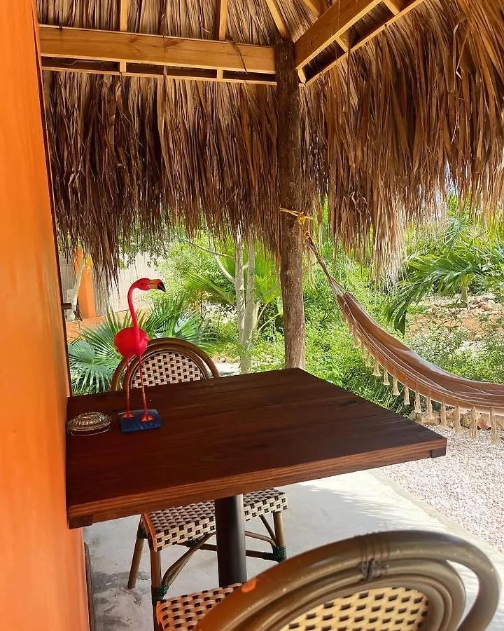The Octopus Tropical Oasis Sint Michiel Bed & Breakfast