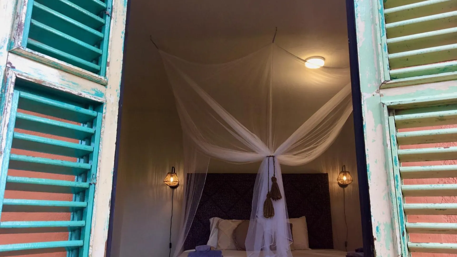 Bed & Breakfast The Octopus Tropical Oasis Sint Michiel