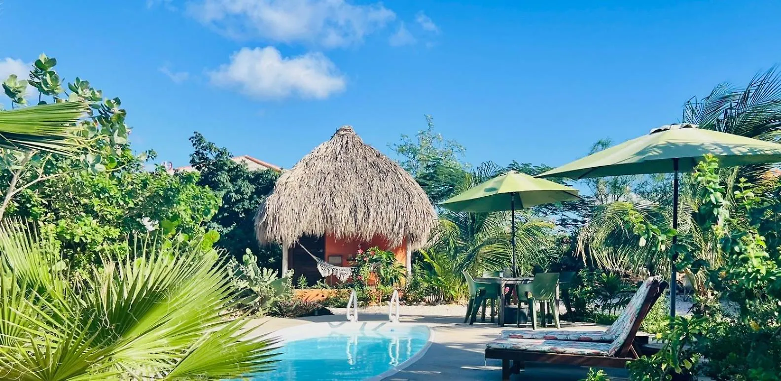 Bed & Breakfast The Octopus Tropical Oasis Sint Michiel Curacao