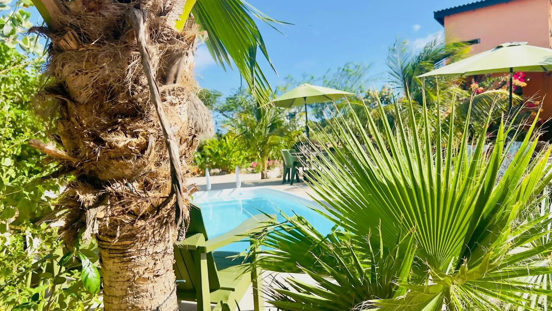 Bed & Breakfast The Octopus Tropical Oasis Sint Michiel