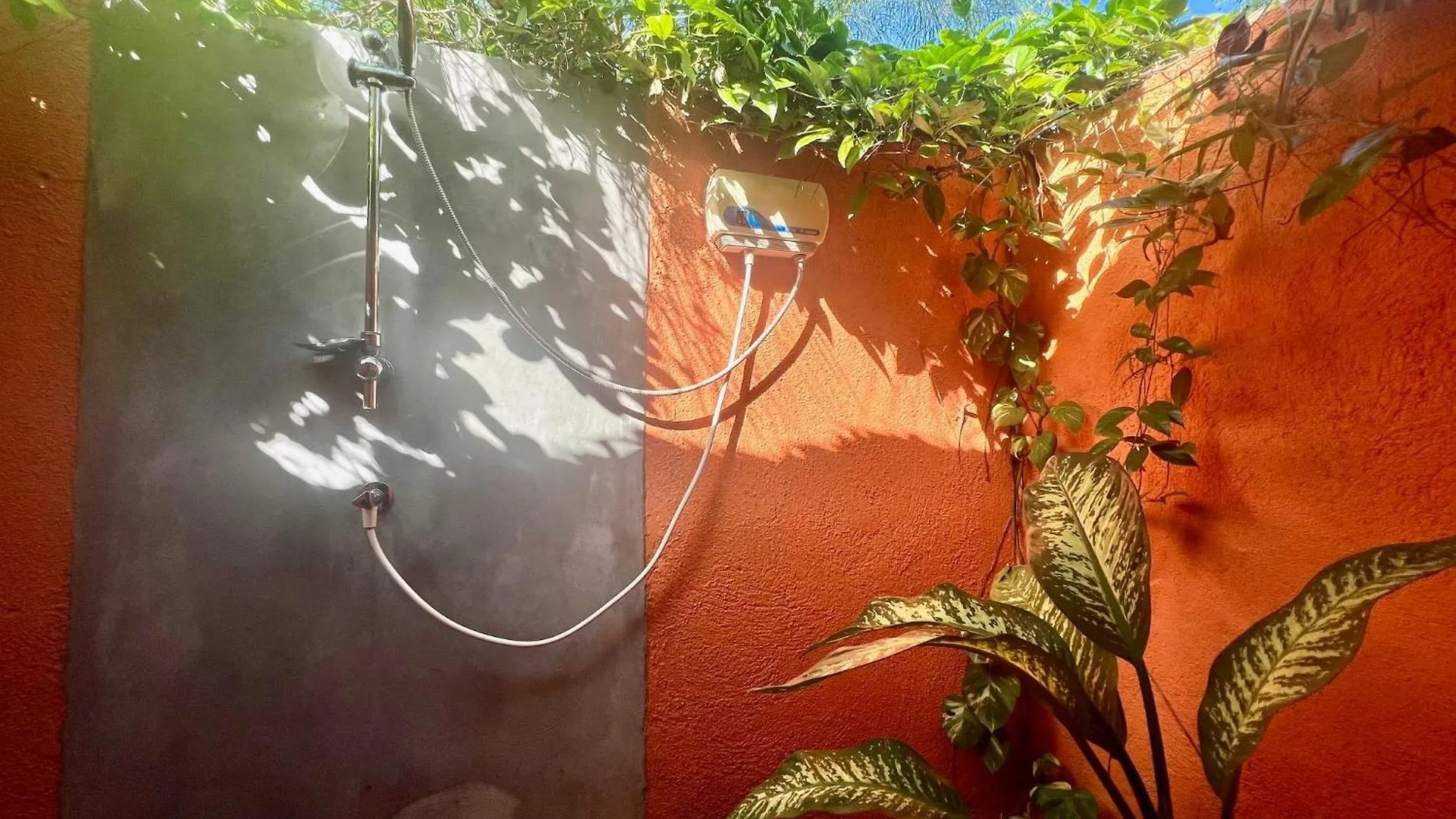 Bed & Breakfast The Octopus Tropical Oasis Sint Michiel