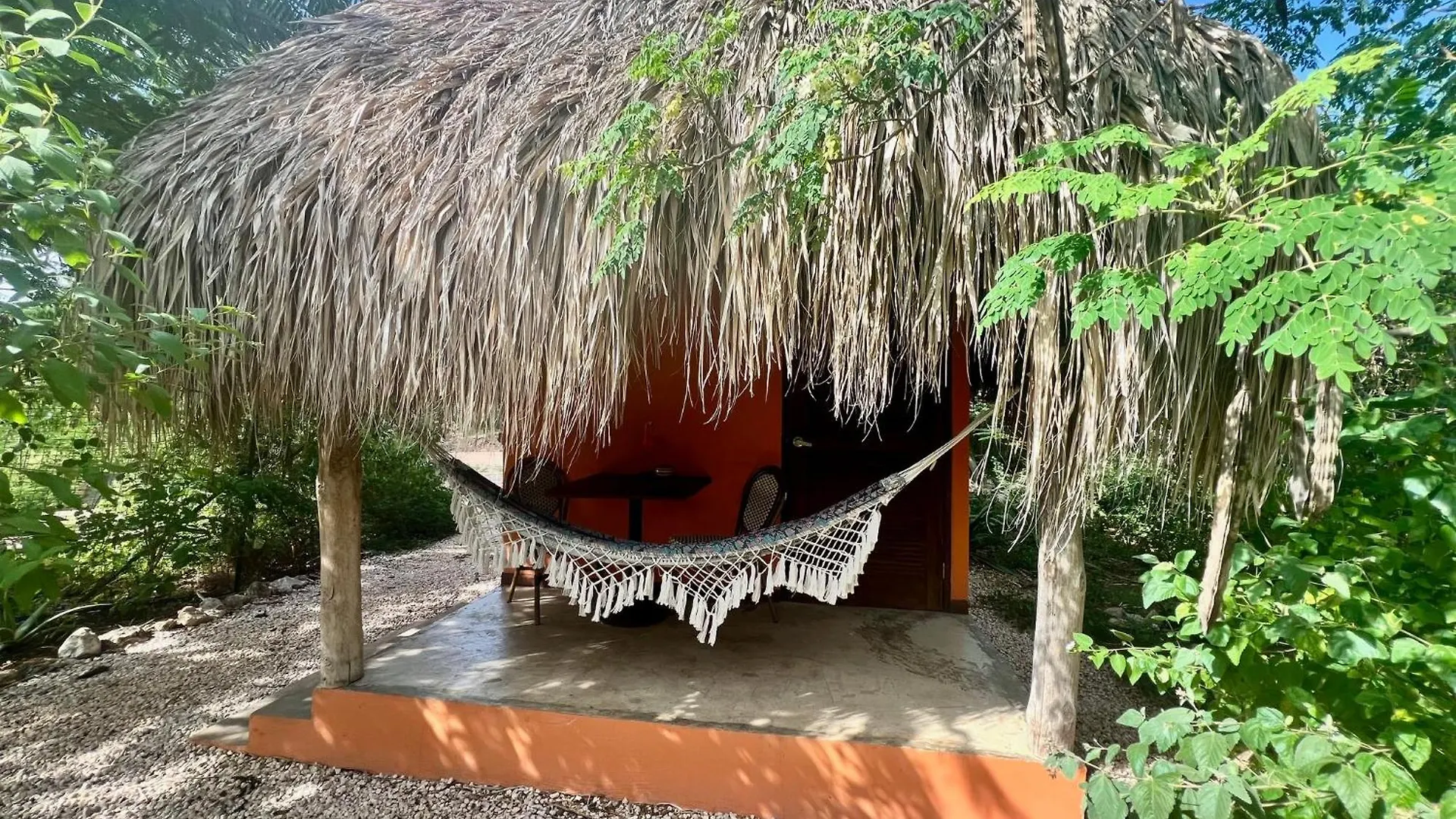 Bed & Breakfast De Octopus Dorp Dorp Sint Michiel Curaçao