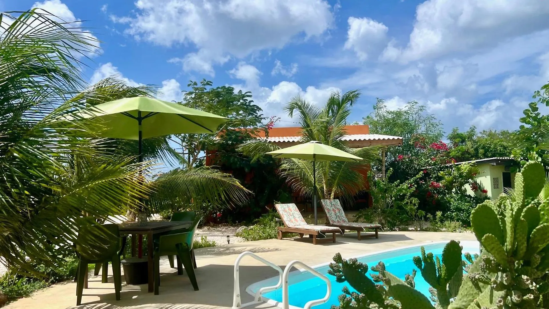 The Octopus Tropical Oasis Sint Michiel Curacao