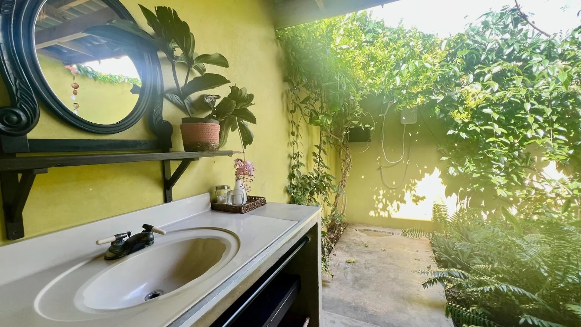 Bed & Breakfast De Octopus Dorp Dorp Sint Michiel