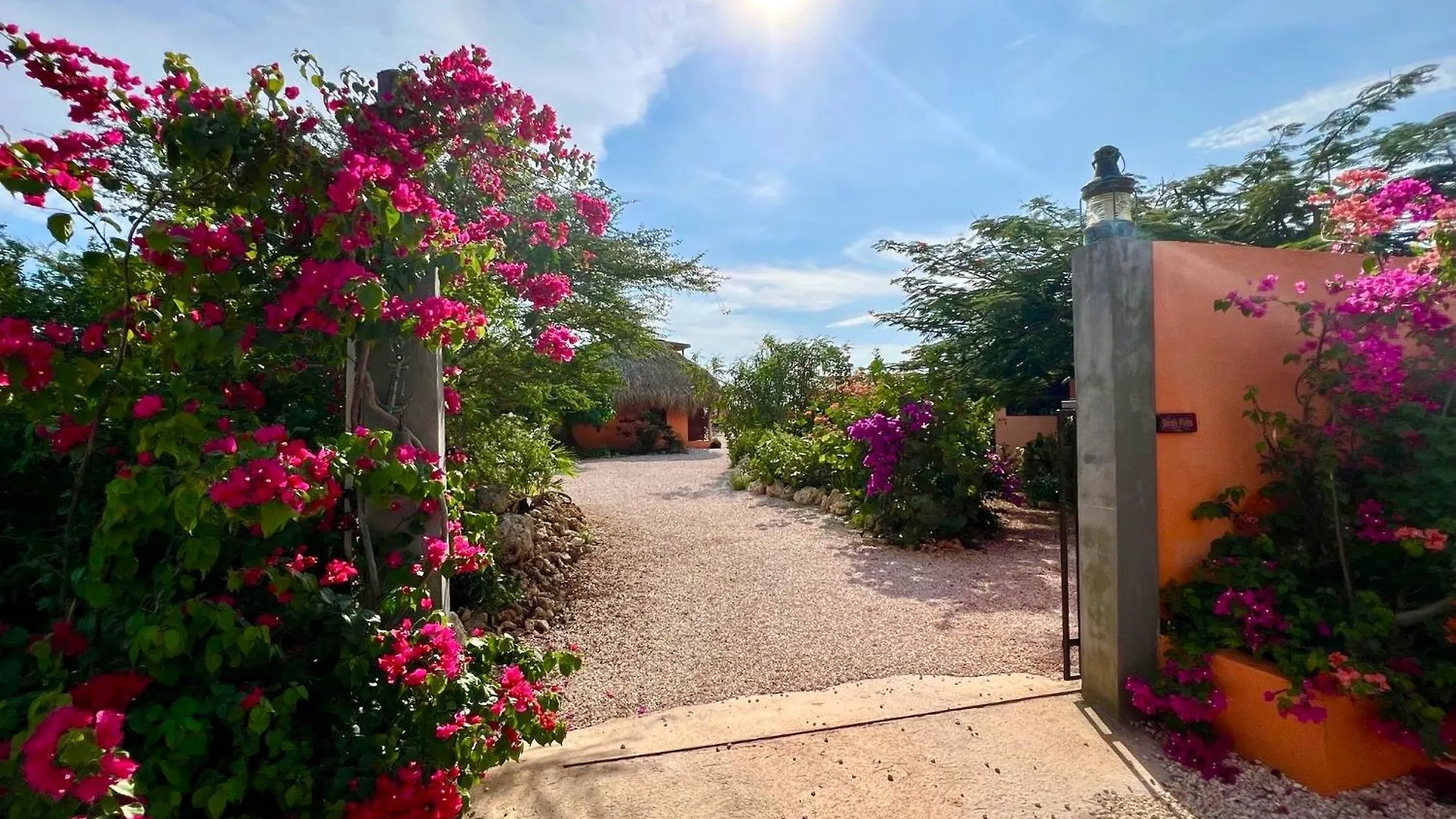 Bed & Breakfast The Octopus Tropical Oasis Sint Michiel