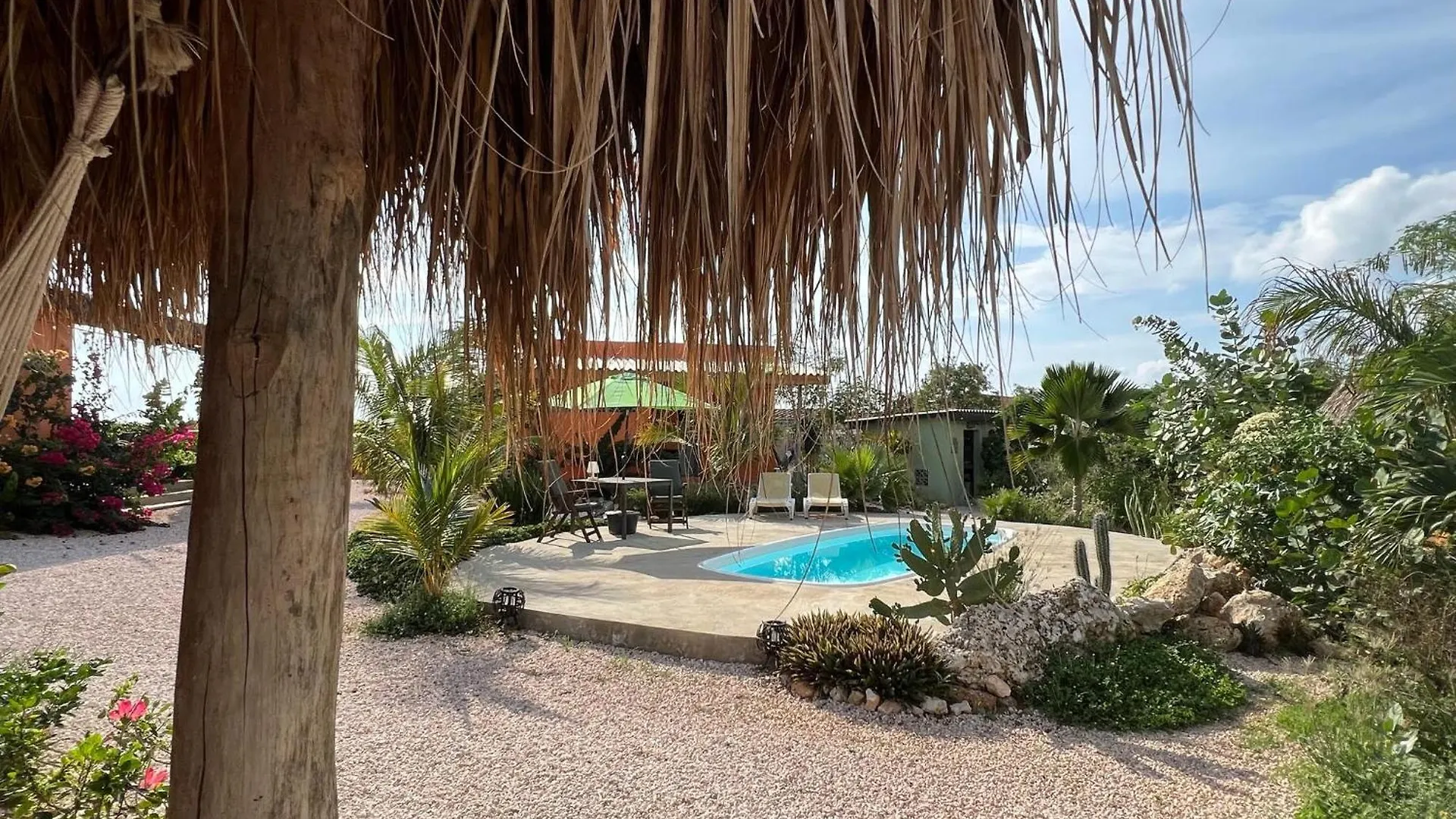 The Octopus Tropical Oasis Sint Michiel Bed & Breakfast