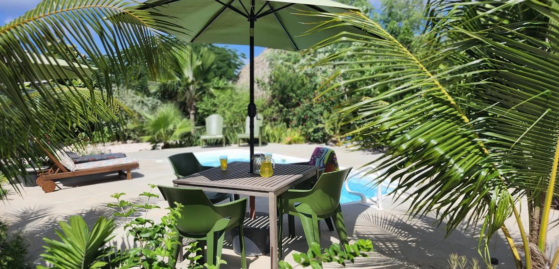 Bed & Breakfast The Octopus Tropical Oasis Sint Michiel